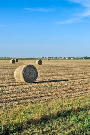 Managing Rural Waste Webinar - 1000x1500